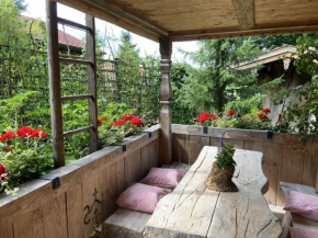 Eco friendly chalet near the lake in Asten
